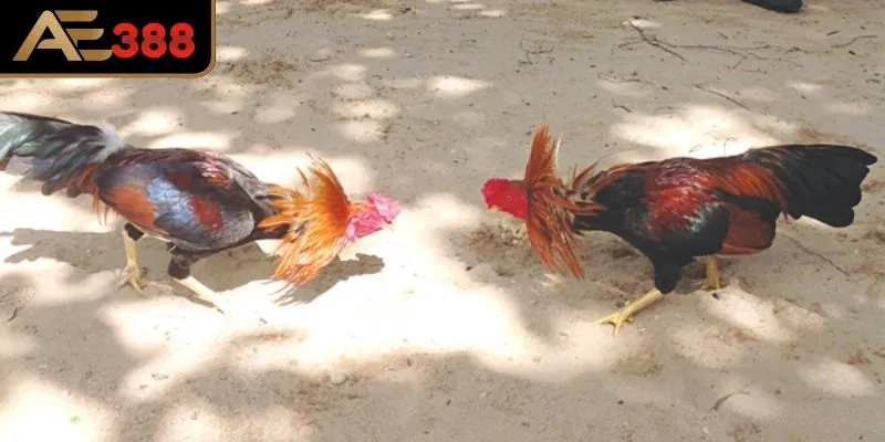 Bí kíp vàng khi kiểm soát cảm xúc