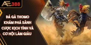 Đá Gà Thomo - Khám Phá Sảnh Cược Kịch Tính Nhất Năm 2025